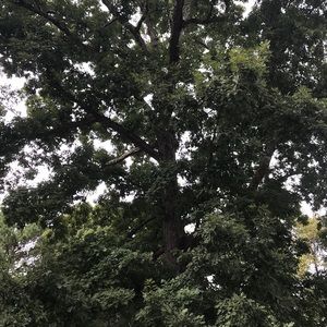 Meet your Posher, Timothy